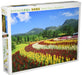 APPLEONE Jigsaw Puzzle 500-253 Celosia Argentea Mount Kuju Oita Japan 500 Pieces- Japan Figure Store - #1 Bring To You The Best Japanese Goods