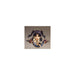 #Good Smile Company Nendoroid Fate/Grand Order Archer / Ishtar Figure - New Japan Figure 4580416905190 3